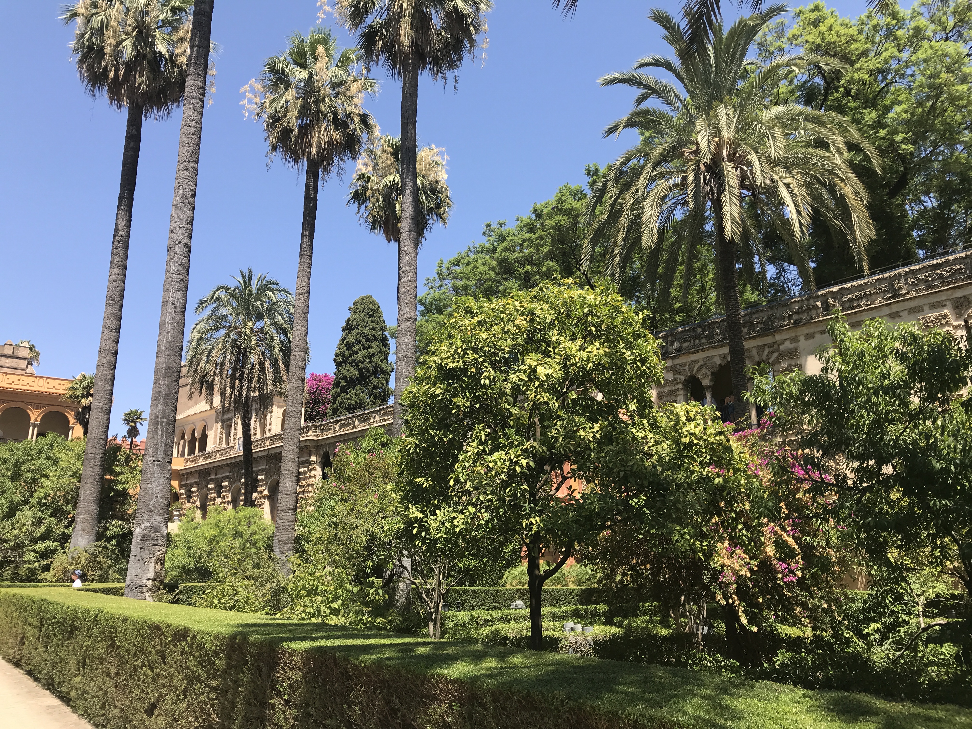 25E95BAA-949C-42C8-B91C-8D1A1A1B5688