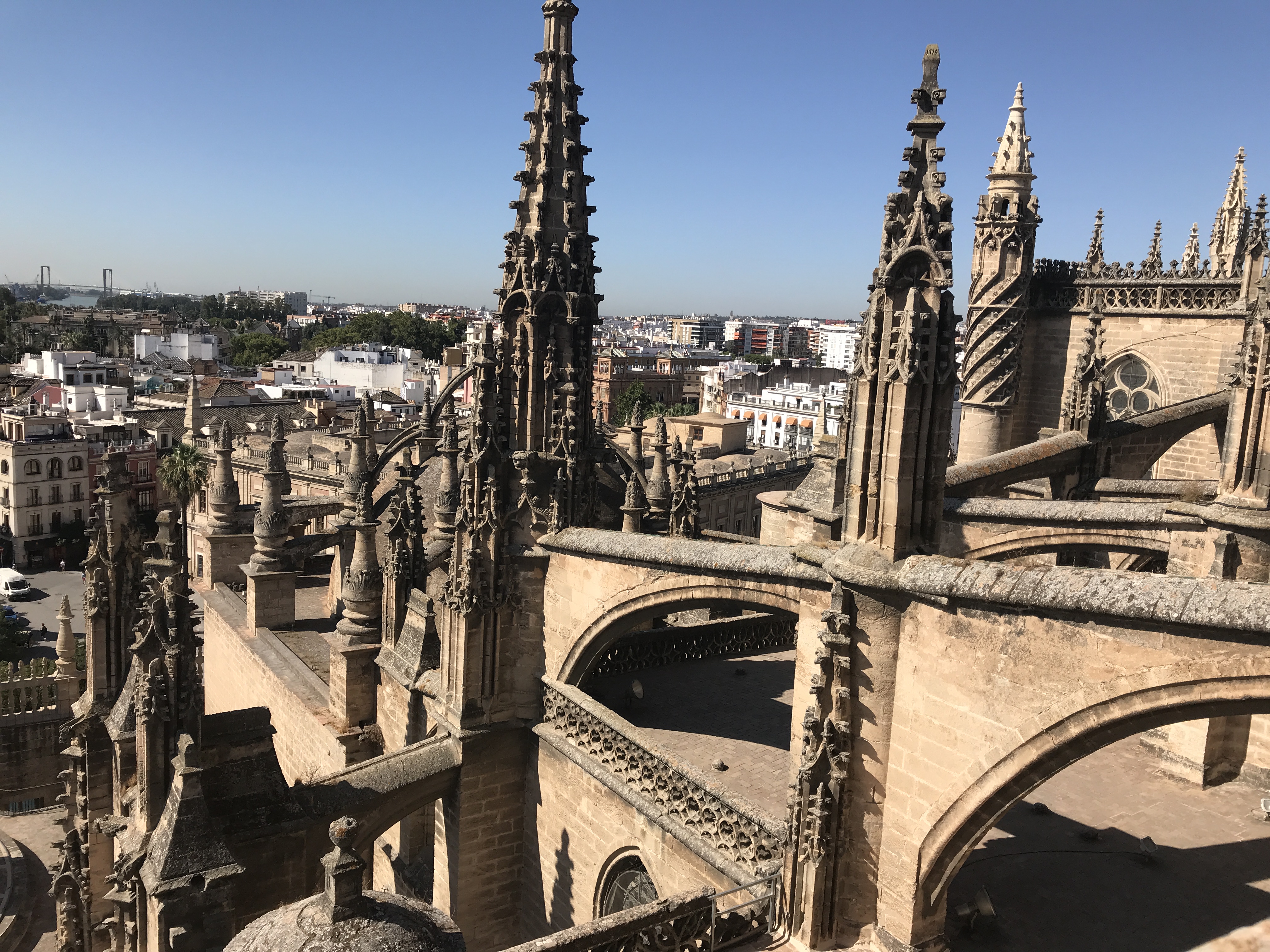 63A9F02A-177E-420A-9BA0-38CC7E137C04