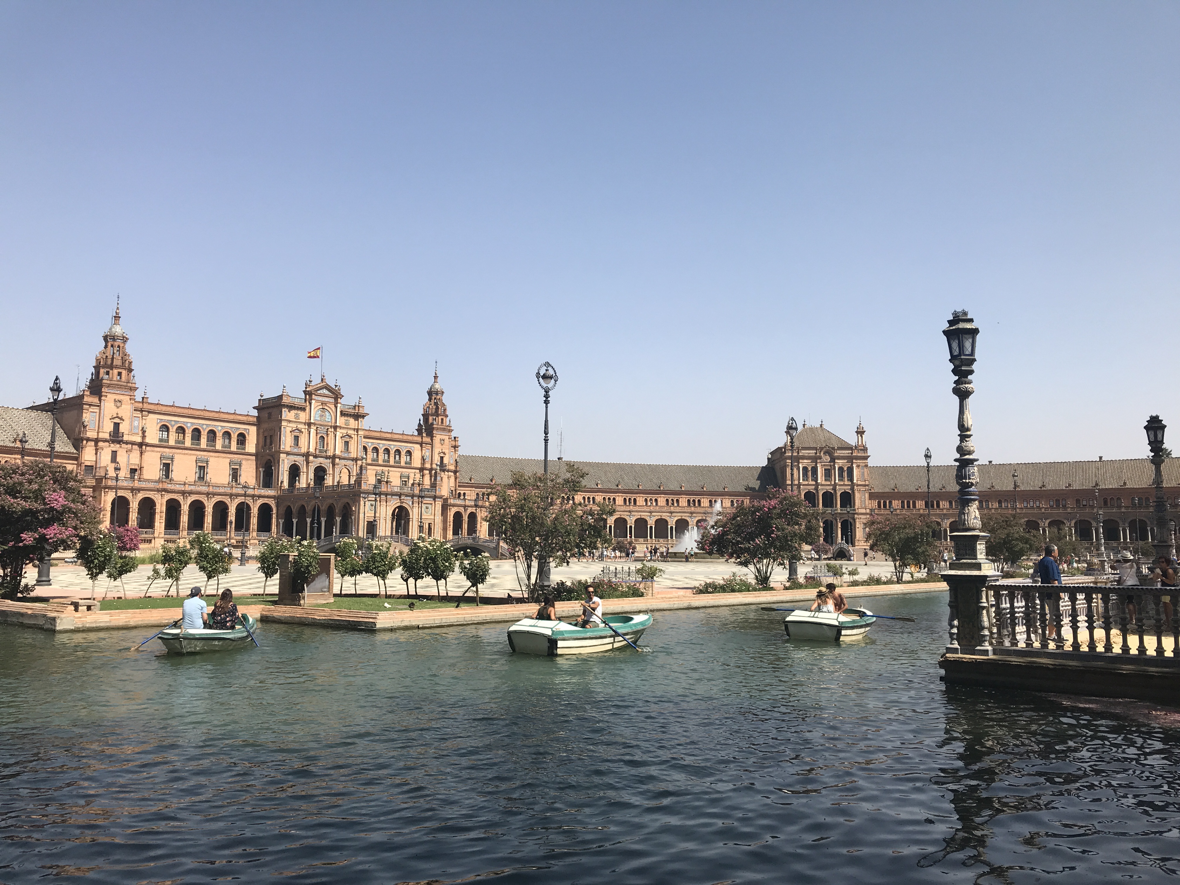 D3E776F3-E118-466C-AC60-D9AC77F99B19